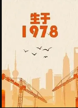生于1978(全集)