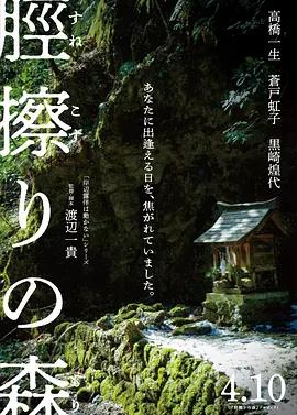 胫擦之森